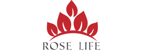 Rose Life Spa Massage Center Bur Dubai